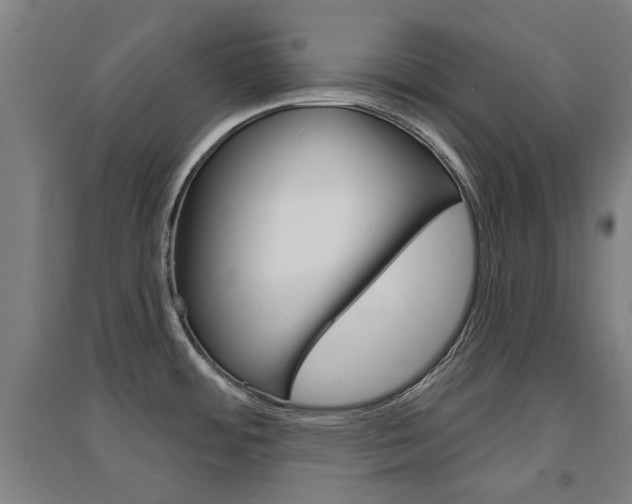 X0000094461484200711081047