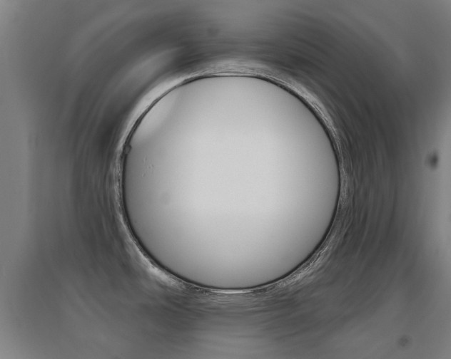 X0000094461486200711081047