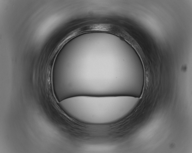 X0000094461487200711081047