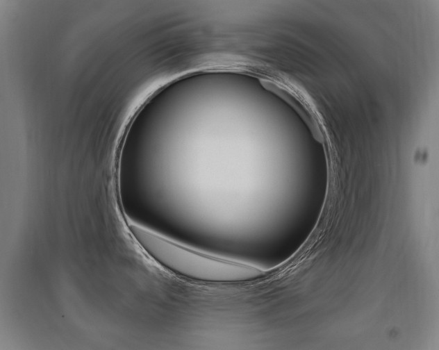 X0000094461488200711081047