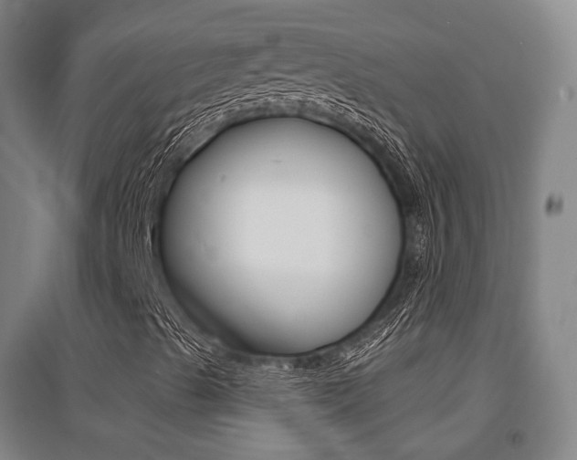 X0000094461489200711081047