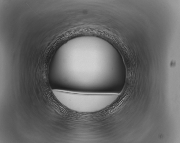 X0000094461490200711081047