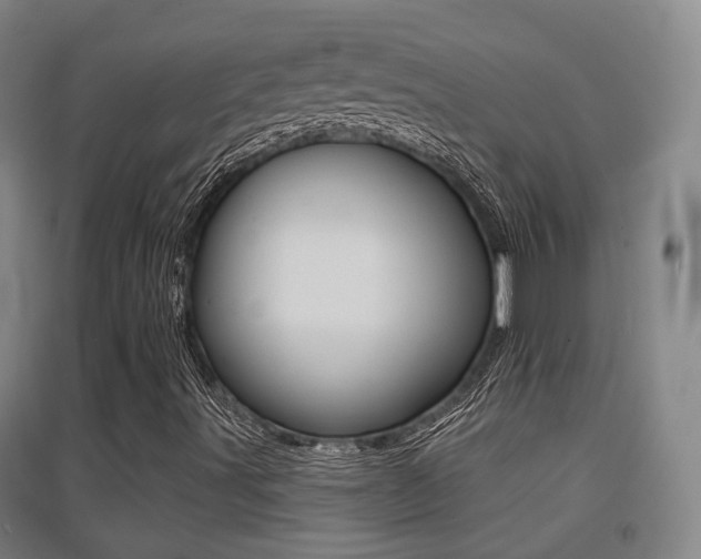 X0000094461491200711081047