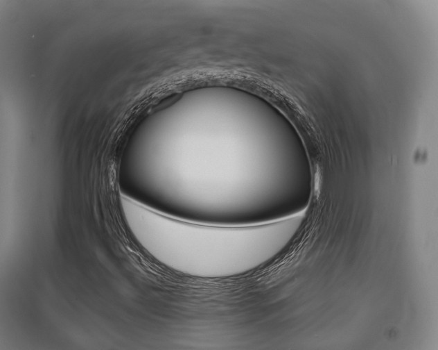 X0000094461492200711081047