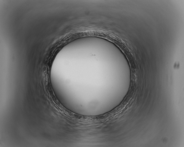 X0000094461493200711081047