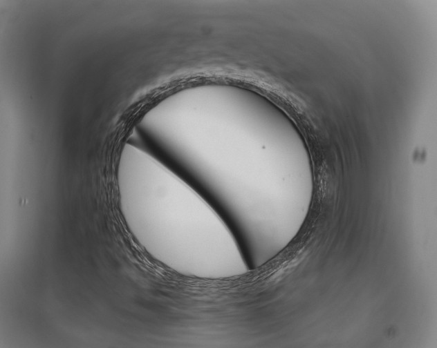 X0000094461494200711081047