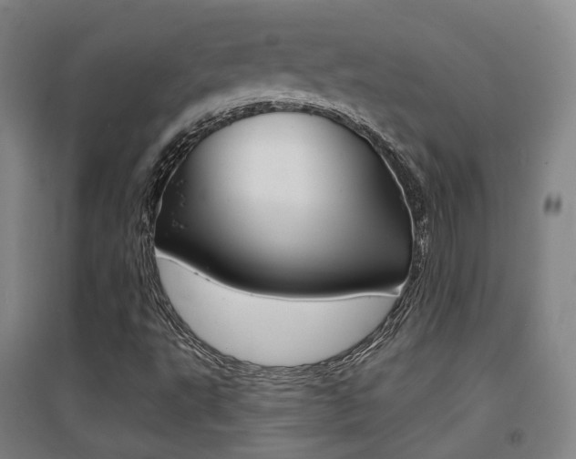 X0000094461495200711081047