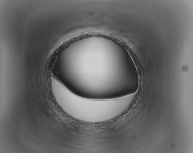 X0000094461496200711081047