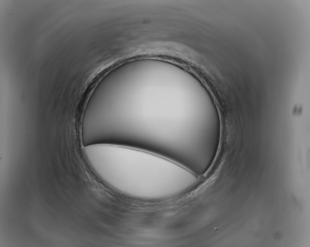 X0000094461497200711081047