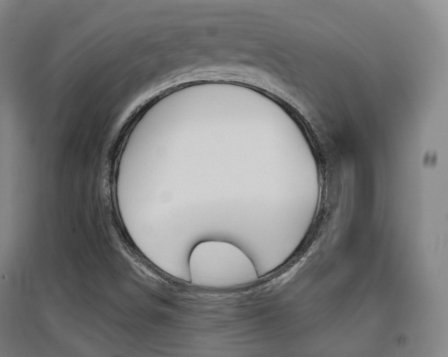 X0000094461498200711081047