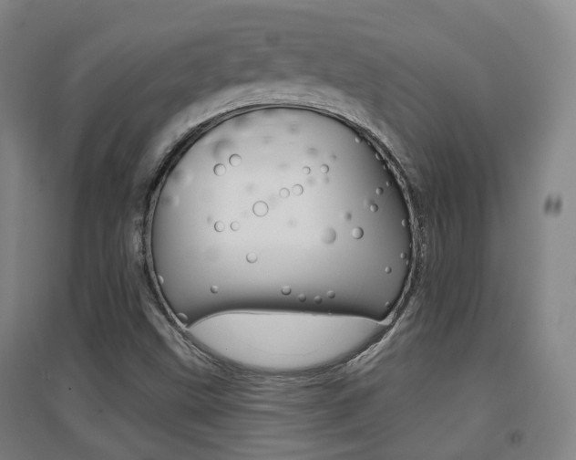 X0000094461499200711081047