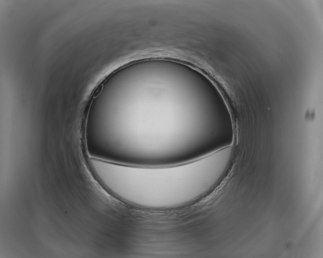 X0000094461500200711081047