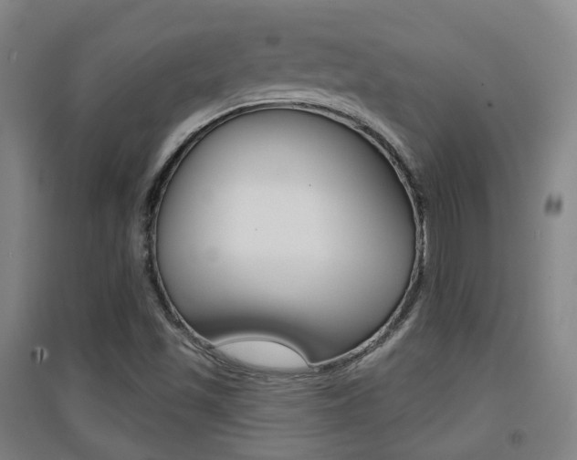 X0000094461501200711081047