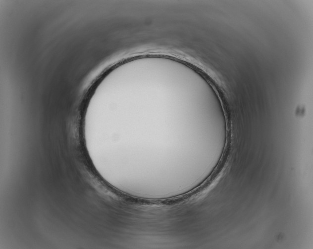 X0000094461502200711081047