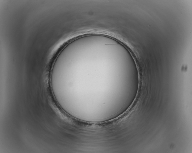 X0000094461503200711081047
