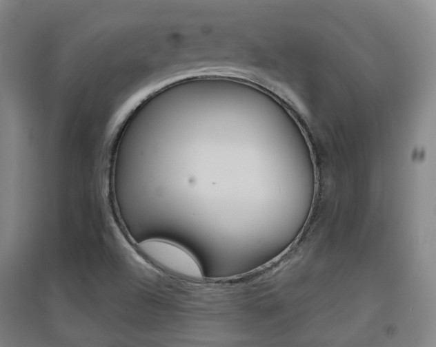 X0000094461504200711081047