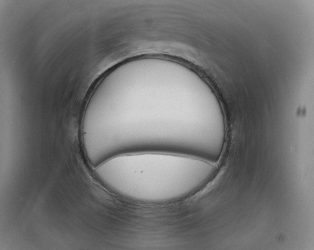 X0000094461505200711081047