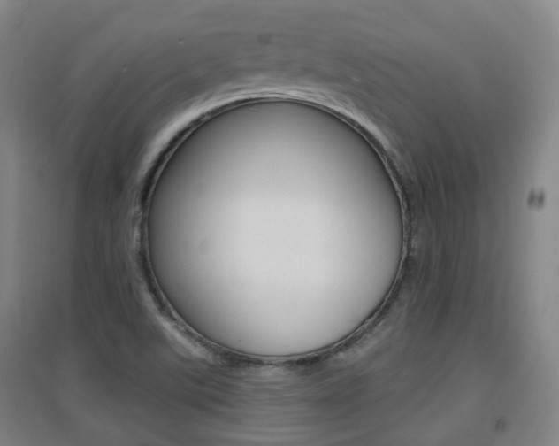 X0000094461507200711081047