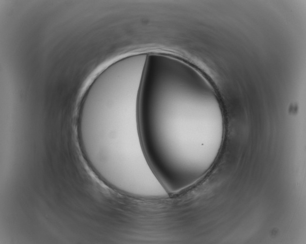 X0000094461508200711081047