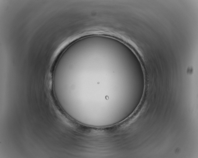 X0000094461509200711081047
