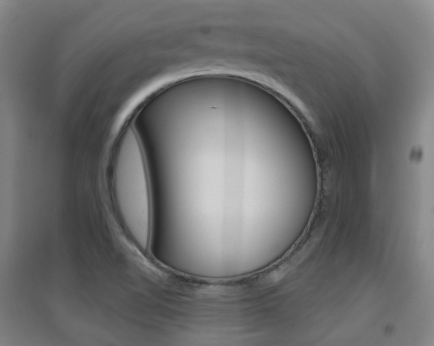 X0000094461510200711081047