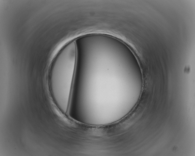 X0000094461511200711081047