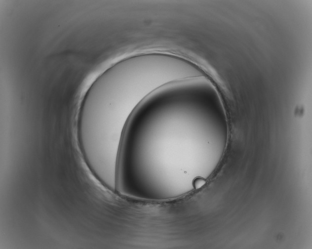 X0000094461512200711081047