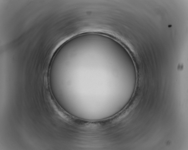 X0000094461513200711081047