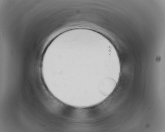X0000094461514200711081047
