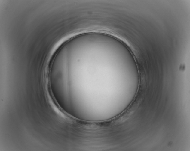 X0000094461515200711081047