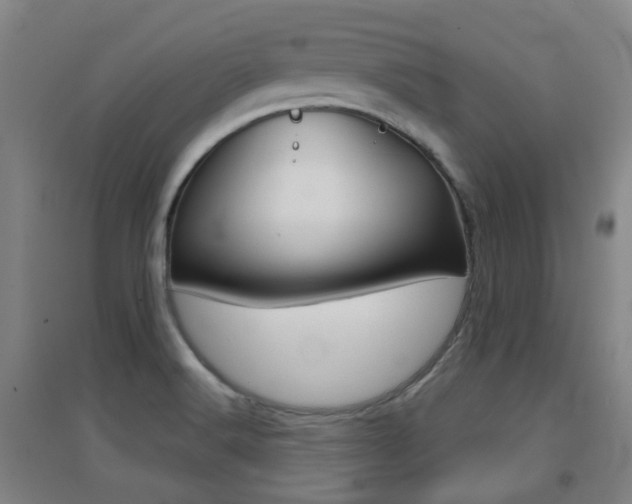 X0000094461516200711081047