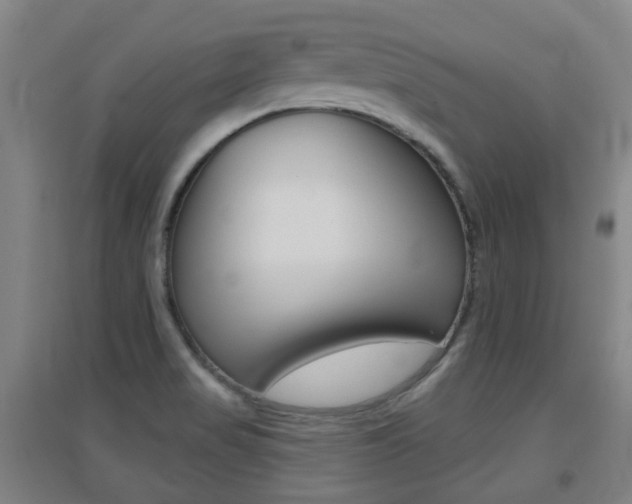 X0000094461517200711081047