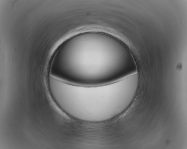 X0000094461518200711081047