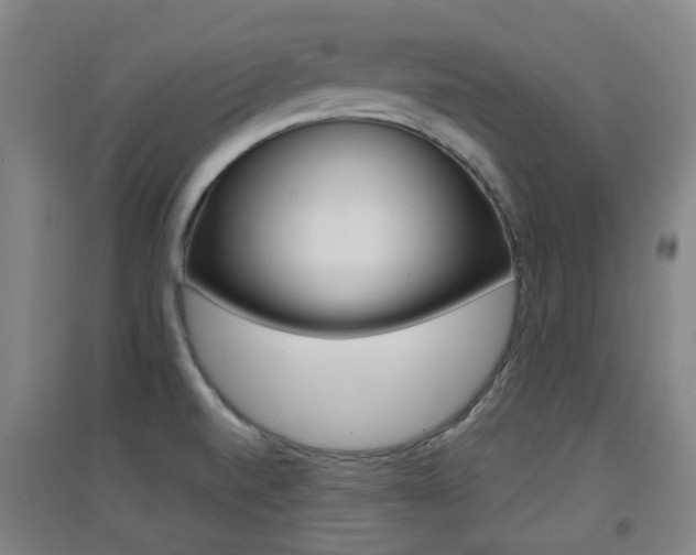 X0000094461520200711081047