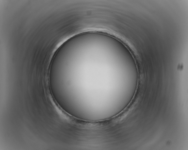X0000094461521200711081047