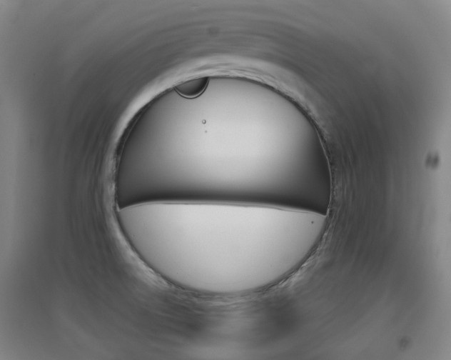 X0000094461522200711081047