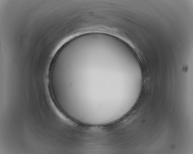 X0000094461523200711081047