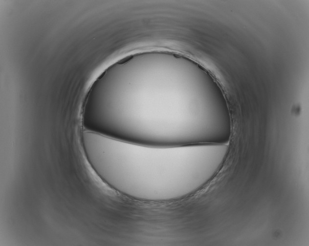 X0000094461524200711081047