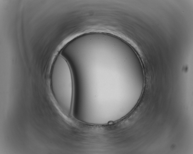 X0000094461525200711081047