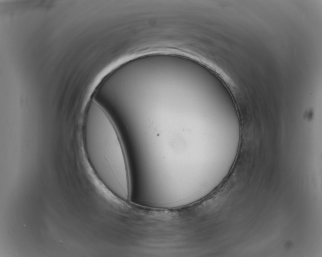 X0000094461526200711081047
