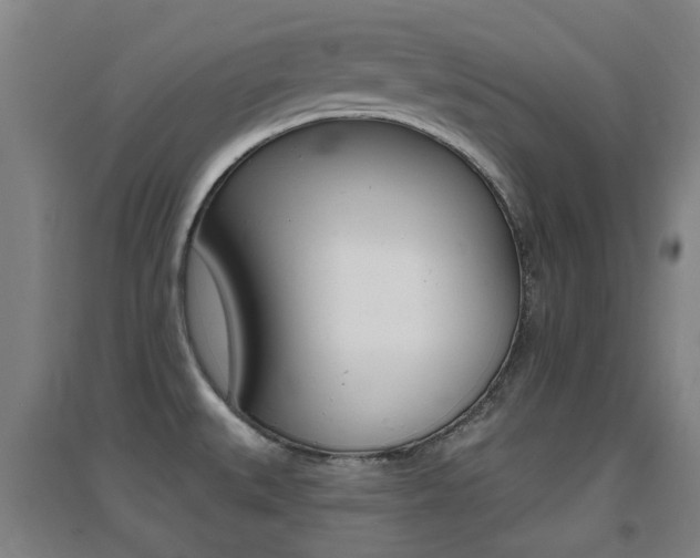 X0000094461527200711081047
