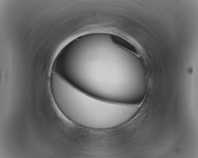 X0000094461528200711081047
