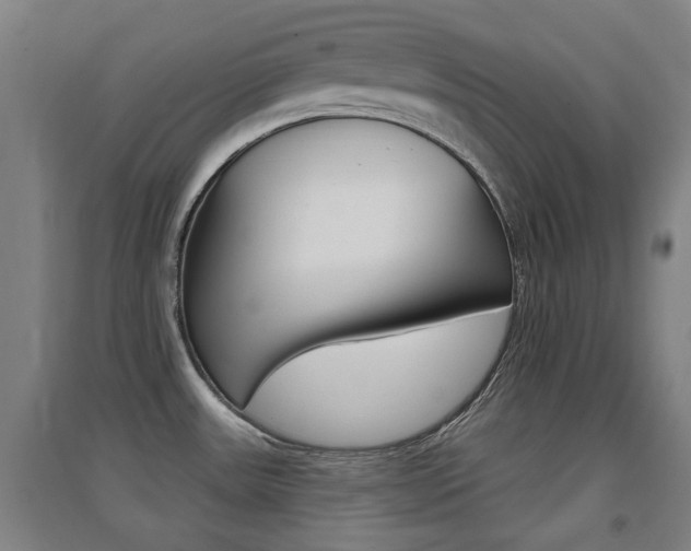X0000094461531200711081047