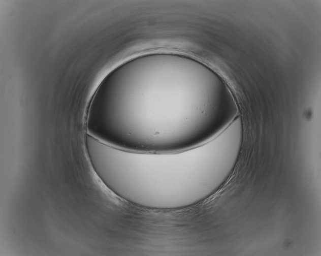 X0000094461532200711081047