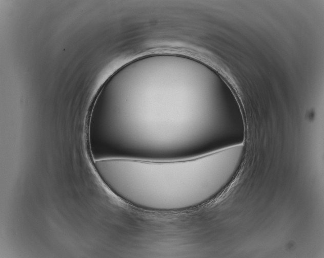 X0000094461533200711081047