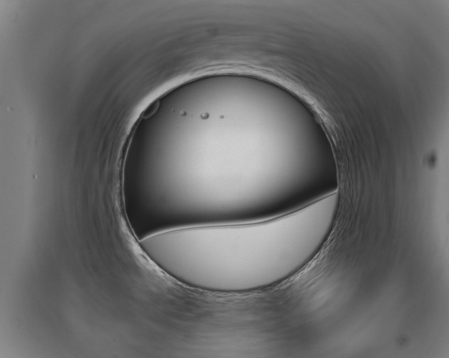 X0000094461534200711081047