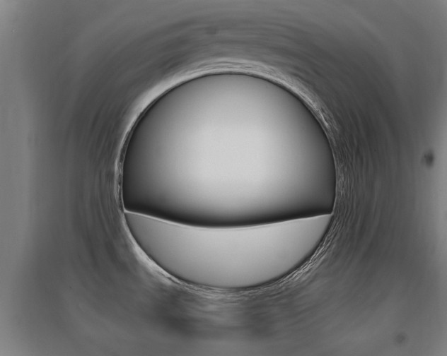 X0000094461535200711081047