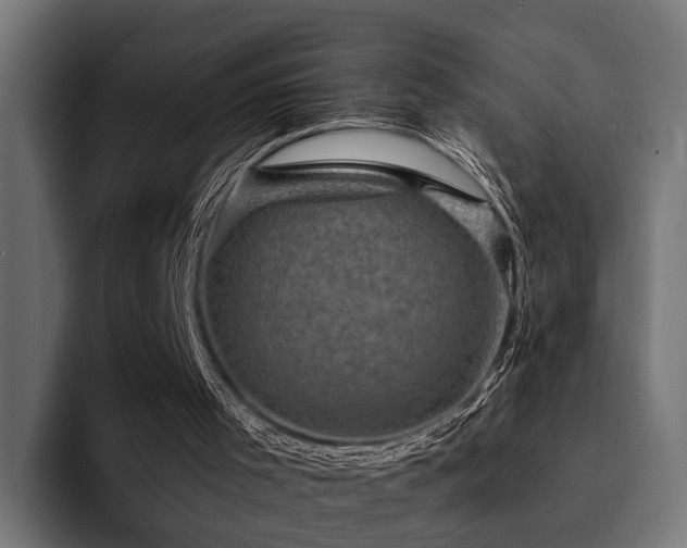 X0000094460001200711081334