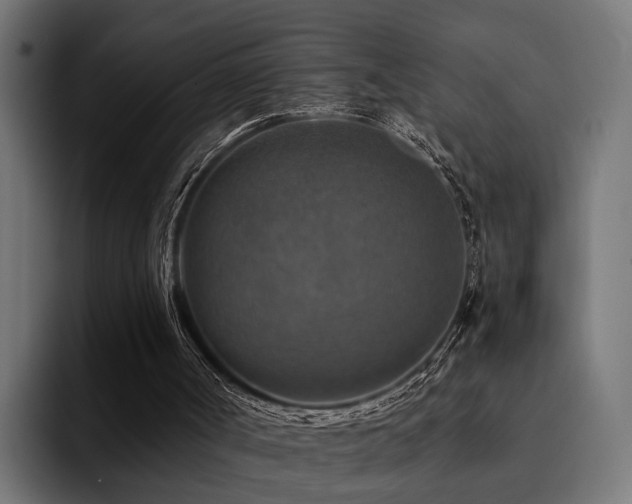 X0000094460002200711081334