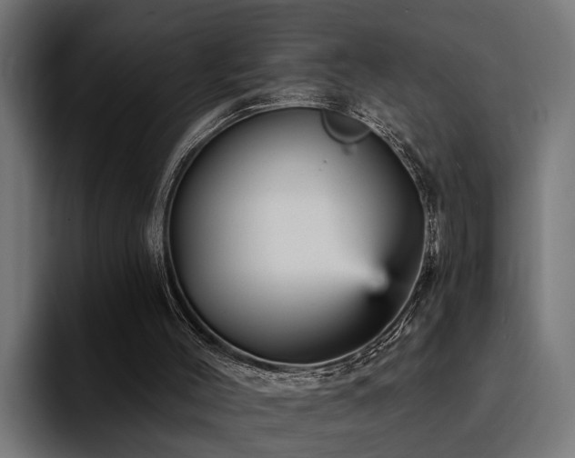 X0000094460004200711081334